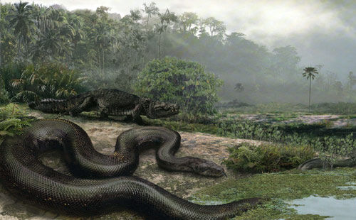 1 Ein internationales Forschungsteam hat in Kolumbien Fossilien einer monstr?sen Schlange entdeckt. Mit der L?nge eines Busses und dem Gewicht eines Kleinwagens war sie die gr??te Schlange der Welt.