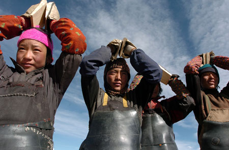 Tibet,Demokratische Reformen , NVK,Tibeter ,Potala-Palast 