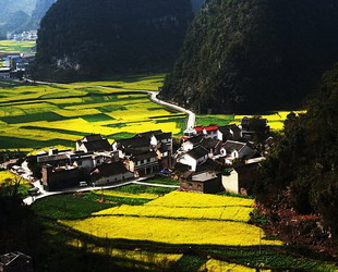 Wanfenglin ist Teil der Landschaft Maling in der Provinz Guizhou. Das Gebiet ist bekannt für seine tiefen Schluchten, Wasserfälle und Wände aus Kalkablagerungen.