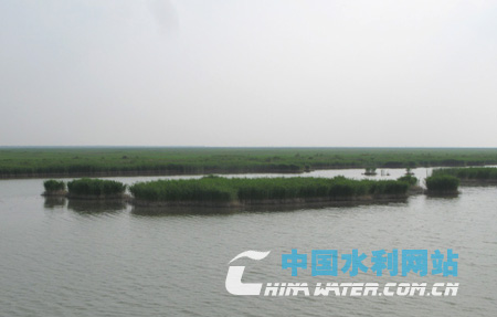 Seit der Fertigstellung des Xiaolangdi-Reservoirs hat sich durch Regulationen von Sedimenten und Wasser die ?kologie des Feuchtgebiets nahe der Flussmündung deutlich verbessert.
