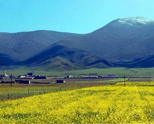 Nach dem Herbstanfang weist die westchinesischen Provinz Qinghai eine schöne Landschaft auf. Blauer Himmel, weiße Wolken, prächtige Schneeberge und die Blumen auf den Wiesen sorgen derzeit für eine märchenhafte Szenerie.