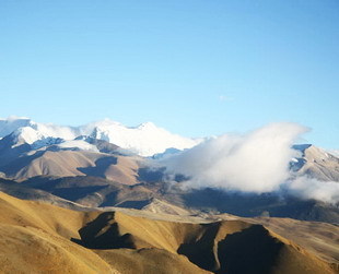 Ein für Fotografien dekorierter Yak steht vor dem Yangzhuoyongcuo See, einer der bekanntesten Seen Tibets.
