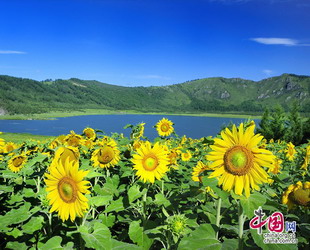 Der Woniu-See befindet sich 16 Kilometer weit von der Stadt Heihe in der nordostchinesischen Provinz Heilongjiang. Das 50 Quadratkilometer große Urlaubsgebiet um dem See gehört zu den wichtigsten Sehenswürdigkeiten in der Provinz.