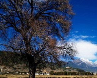 Das Dorf Shuhe befindet sich direkt am Fuße des Schneebergs Yulong. Es ist ein Touristenziel der Klassifizierung AAAA und gleichzeitig eines der wichtigen Schutzzonen für Kulturrelikte.