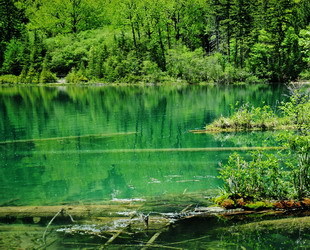 Das Jiuzhaigou-Tal ist ein Naturreservat im Nordwesten der Provinz Sichuan. Es ist bekannt für seine mehrstufigen Wasserfälle und klaren Seen, und wurde außerdem 1992 zum UNESCO-Welterbe ernannt.