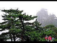 Der Mount Huang, auch bekannt unter dem Namen Huangshan, ist ein Gebirgszug im Süden der ostchinesischen Provinz Anhui. Das Gebiet ist weit bekannt für seine Landschaften, Sonnenuntergänge, außergewöhnlich geformten Granitfelsen, die Huangshan-Kiefernbäume und den Blick auf endlose Wolkenmeere.