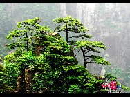 Der Mount Huang wird häufig als Motiv für traditionelle chinesische Gemälde, in Literatur, und auch für Fotografien genutzt.