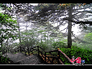 Der Mount Huang wird häufig als Motiv für traditionelle chinesische Gemälde, in Literatur, und auch für Fotografien genutzt.