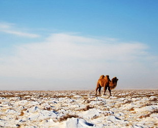 Die Mongolische Hochebene ist Teil des größeren zentralasiatischen Plateaus und hat eine Fläche von etwa 2.600.000 Quadratkilometern. Es ist bedeckt von der Mongolei im Norden und im Süden vom Autonomen Gebiet Innere Mongolei in China.