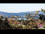 Schloss Neuschwanstein, der berühmteste Palast des Königs Ludwig II. von Bayern, der in der Nähe von Schloss Hohenschwangau aufgewachsen ist, besteht aus einem Torhaus, einem Turm, dem Ritterhaus mit einem quadratischen Turm und einem Palas, oder Zitadelle, mit zwei Türmen am westlichen Ende. [Foto von Zhao Na]