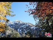 Schloss Neuschwanstein, der berühmteste Palast des Königs Ludwig II. von Bayern, der in der Nähe von Schloss Hohenschwangau aufgewachsen ist, besteht aus einem Torhaus, einem Turm, dem Ritterhaus mit einem quadratischen Turm und einem Palas, oder Zitadelle, mit zwei Türmen am westlichen Ende. [Foto von Zhao Na]