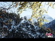 Schloss Neuschwanstein, der berühmteste Palast des Königs Ludwig II. von Bayern, der in der Nähe von Schloss Hohenschwangau aufgewachsen ist, besteht aus einem Torhaus, einem Turm, dem Ritterhaus mit einem quadratischen Turm und einem Palas, oder Zitadelle, mit zwei Türmen am westlichen Ende. [Foto von Zhao Na]