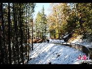 Schloss Neuschwanstein, der berühmteste Palast des Königs Ludwig II. von Bayern, der in der Nähe von Schloss Hohenschwangau aufgewachsen ist, besteht aus einem Torhaus, einem Turm, dem Ritterhaus mit einem quadratischen Turm und einem Palas, oder Zitadelle, mit zwei Türmen am westlichen Ende. [Foto von Zhao Na]