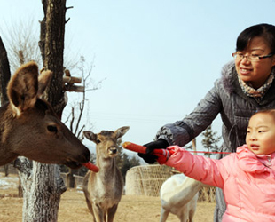 Eine Mutter und ihre Tochter füttern ein wildes Reh im Safari-Park, der sich auf dem Qinghai-Tibet-Plateau im Nordwesten der chinesischen Provinz Qinghai befindet.