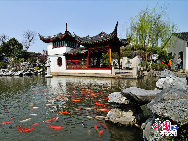 Tongli ist eine alte Wasserstadt in der ostchinesischen Provinz Jiangsu. Die Anfahrt von Suzhou aus dauert nicht lange, und schon ist man in Tongli, wo man in die Vergangenheit zurückversetzt wird. Das Städtchen ist in ganz China berühmt für seine vielen Flüsse und Kanäle, historischen Brücken und schönen Wohnhöfe. Es gibt 49 Steinbrücken und viele Gärten und Tempel in Tongli. Wegen der Landschaft sind fast alle Gebäude am Wasser gebaut.