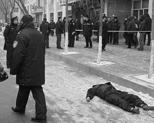 Ein rachsüchtiger Mann wurde von der Polizei in Harbin, der Hauptstadt der chinesischen Provinz Heilongjiang erschossen, nachdem er einen Fußgänger getötet und 12 weitere Personen in einer Straße verletzt hatte.