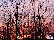 Jinshanling ist ein Abschnitt der Chinesischen Großen Mauer in der Berggegend des Kreises Luanping 125 Kilometer nordöstlich von Beijing. Er beginnt am Wangjinglou Tower im Osten und endet in Longyukou im Westen, und ist damit rund zehn Kilometer lang. Der Eintritt kostet 40 RMB, umgerechnet rund 4 Euro. Eine Seilbahn trägt die Besucher zum höchsten Punkt der Mauer. [Foto von Jia Yunlong]