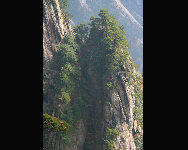 Der Berg Huangshan in der ostchinesischen Provinz Anhui ist einer der zehn bekanntesten chinesischen Landschaften. Er wurde 1990 als einer der 14 Weltnatur- und Kulturerben gelistet. Der Huangshan ist durch die vier Wunder charakterisiert, nämlich selten geformte Pinien, groteske Felsformationen, Wolkenmeere und kristallklare heiße Quellen. [China.org.cn]