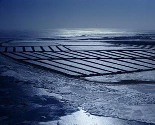 Seit Dezember 2009 sind das Bohai- und Huanghai-Meer zugefroren. Die dicke Eisschicht behindert den Fischereibetrieb der Region.