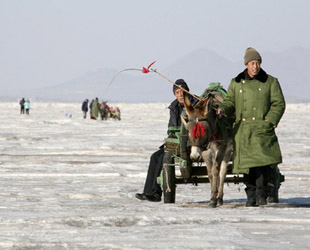 Fischer brauchen ihre Boote am Ufer der Juhua-Insel derzeit nicht mehr festzubinden. Sie sind alle festgefroren, seit sich die Bohai-Bucht in einen massiven Eisberg verwandelt hat.