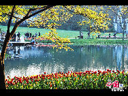 Touristen besuchen den Taiziwan Park, wo die Tulpen in voller Blüte sind. In Hangzhou, der Hauptstadt der ostchinesischen Provinz Zhejiang, sind über 20 Sorten von roten, gelben und weißen Tulpen im Park zu sehen, was viele Touristen aus nah und fern anzieht. [Foto von Shala]