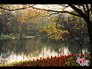 Touristen besuchen den Taiziwan Park, wo die Tulpen in voller Blüte sind. In Hangzhou, der Hauptstadt der ostchinesischen Provinz Zhejiang, sind über 20 Sorten von roten, gelben und weißen Tulpen im Park zu sehen, was viele Touristen aus nah und fern anzieht. [Foto von Shala]