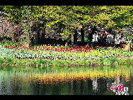 Touristen besuchen den Taiziwan Park, wo die Tulpen in voller Blüte sind. In Hangzhou, der Hauptstadt der ostchinesischen Provinz Zhejiang, sind über 20 Sorten von roten, gelben und weißen Tulpen im Park zu sehen, was viele Touristen aus nah und fern anzieht. [Foto von Shala]