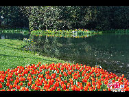 Touristen besuchen den Taiziwan Park, wo die Tulpen in voller Blüte sind. In Hangzhou, der Hauptstadt der ostchinesischen Provinz Zhejiang, sind über 20 Sorten von roten, gelben und weißen Tulpen im Park zu sehen, was viele Touristen aus nah und fern anzieht. [Foto von Shala]
