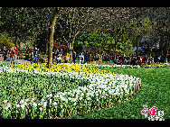Touristen besuchen den Taiziwan Park, wo die Tulpen in voller Blüte sind. In Hangzhou, der Hauptstadt der ostchinesischen Provinz Zhejiang, sind über 20 Sorten von roten, gelben und weißen Tulpen im Park zu sehen, was viele Touristen aus nah und fern anzieht. [Foto von Shala]