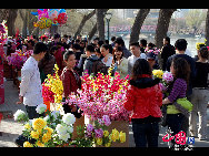 Der Yuyuantan Park befindet sich am südlichen Ende der Sanlihe Straße in Beijing. Der Haupteingang liegt direkt gegenüber von der südlichen Straße des Mondaltars (Yuetan Nanjie). Es ist Kirschblütenzeit und das bedeutet Festzeit. Anfang April sind die Kirschblüten im Yuyuantan Park ein beliebtes Fotomotiv. (Foto: Jia Liang).