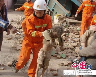 Bisher haben die Feuerwehrleute der Provinz Qinghai insgesamt 180 vom Erdbeben heimgesuchte Leute gerettet und zwölf Brände gelöscht. Vier Rettungshunde wurden bereits per Flugzeug zu den Rettungsarbeiten gebracht.