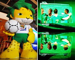 Die Dekorationsdesigns des südafrikanischen Pavillons und des brasilianischen Pavillons auf der diesjährigen Expo stehen beide im Zeichen des Fußballs, da nach Südafrika als Gastgeberland der Fußball-WM 2010 Brasilien Gastgeber der WM 2014 ist.