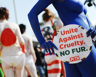 Die Tierschutzorganisation PETA (People for the Ethical Treatment of Animals) veranstaltet am Donnerstag , am Rande der WM eine Demonstration gegen das Tragen von Pelzen.