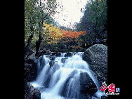 Die Shuitao-Schlucht, auch die Wasserwogen-Schlucht genannt, befindet sich in der Naturlandschaftszone im hinteren Teil des Mianshan-Bergs in Jiexiu in der zentralchinesischen Provinz Shanxi. Sie rühmt sich wunderschöner, malerischer Wasserlandschaften in einem Umkreis von rund 16 Kilometern. [China.org.cn]