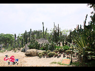 Der Botanischer Garten in Xiamen ist seit langem eine Touristenattraktion mit gutem Ruf der Provinz Fujian. [Foto von Yang Nan]