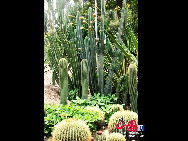 Der Botanischer Garten in Xiamen ist seit langem eine Touristenattraktion mit gutem Ruf der Provinz Fujian. [Foto von Yang Nan]