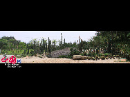 Der Garten bietet heute eine Fülle von mehr als 5.300 Arten tropischer und subtropischer Ornamentpflanzen, und besteht aus 29 Gärten mit Sonderpflanzen, von denen jede ihre eigenen Characteristika aufweist. [Foto von Yang Nan]