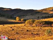 Die Bashang-Steppe befindet sich rund 280 Kilometer nördlich von Beijing. Dank seines besonderen Klimas und seiner geographischen Lage in der Inneren Mongolei bietet die Steppe einzigartige Naturlandschaften. Deswegen ist diese nordchinesische Gegend eine der beliebtesten Destinationen für Touristen und Fotografen. [Foto: Liu Yi]