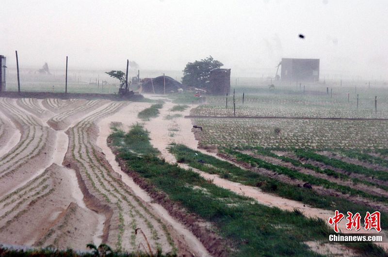 Der Taifun Megi hat am Samstag die südostchinesische Provinz Fujian erreicht. 270.000 Einwohner wurden evakuiert. Lokaler Wetterdienst erwartet eine gesamte Niederschlagsmenge von mehr als 100 Millimetern in Zhangzhou, Xiamen und Quanzhou in den kommenden zwölf Stunden.