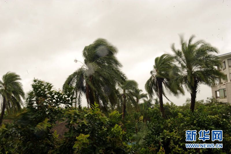 Der Taifun Megi hat am Samstag die südostchinesische Provinz Fujian erreicht. 270.000 Einwohner wurden evakuiert. Lokaler Wetterdienst erwartet eine gesamte Niederschlagsmenge von mehr als 100 Millimetern in Zhangzhou, Xiamen und Quanzhou in den kommenden zwölf Stunden.