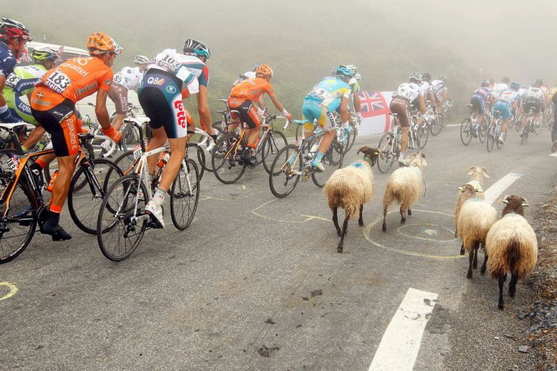 Die weltweit einflussreiche Nachrichtenagentur Reuters hat vor kurzem die besten Sportbilder des Jahres 2010 gewählt. Viele Fotos wurden während des Finales der WM 2010 in Südafrika gemacht.