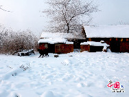  Der Reif in Jilin gilt als eines der vier Naturwunder in China. Die anderen drei sind die Karstberge von Guilin in der Autonomen Region Guangxi, der Steinwald in der Provinz Yunnan und die Drei Schluchten am Jangtse-Fluss. [Foto: Yang Renyan]