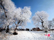  Der Reif in Jilin gilt als eines der vier Naturwunder in China. Die anderen drei sind die Karstberge von Guilin in der Autonomen Region Guangxi, der Steinwald in der Provinz Yunnan und die Drei Schluchten am Jangtse-Fluss. [Foto: Yang Renyan]