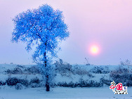  Der Reif in Jilin gilt als eines der vier Naturwunder in China. Die anderen drei sind die Karstberge von Guilin in der Autonomen Region Guangxi, der Steinwald in der Provinz Yunnan und die Drei Schluchten am Jangtse-Fluss. [Foto: Yang Renyan]