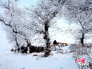  Der Reif in Jilin gilt als eines der vier Naturwunder in China. Die anderen drei sind die Karstberge von Guilin in der Autonomen Region Guangxi, der Steinwald in der Provinz Yunnan und die Drei Schluchten am Jangtse-Fluss. [Foto: Yang Renyan]