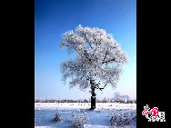 Eine wunderschöne Winterlandschaft erschien auf beiden Seiten des Songhua-Flusses, nachdem die Lufttemperatur plötzlich stark gesunken war. Das Naturschauspiel lockte zahlreiche Touristen aus dem ganzen Land an. [Foto: Yang Renyan]