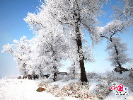  Der Reif in Jilin gilt als eines der vier Naturwunder in China. Die anderen drei sind die Karstberge von Guilin in der Autonomen Region Guangxi, der Steinwald in der Provinz Yunnan und die Drei Schluchten am Jangtse-Fluss. [Foto: Yang Renyan]