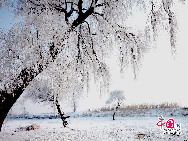  Der Reif in Jilin gilt als eines der vier Naturwunder in China. Die anderen drei sind die Karstberge von Guilin in der Autonomen Region Guangxi, der Steinwald in der Provinz Yunnan und die Drei Schluchten am Jangtse-Fluss. [Foto: Yang Renyan]