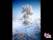 Eine wunderschöne Winterlandschaft erschien auf beiden Seiten des Songhua-Flusses, nachdem die Lufttemperatur plötzlich stark gesunken war. Das Naturschauspiel lockte zahlreiche Touristen aus dem ganzen Land an. [Foto: Yang Renyan]
