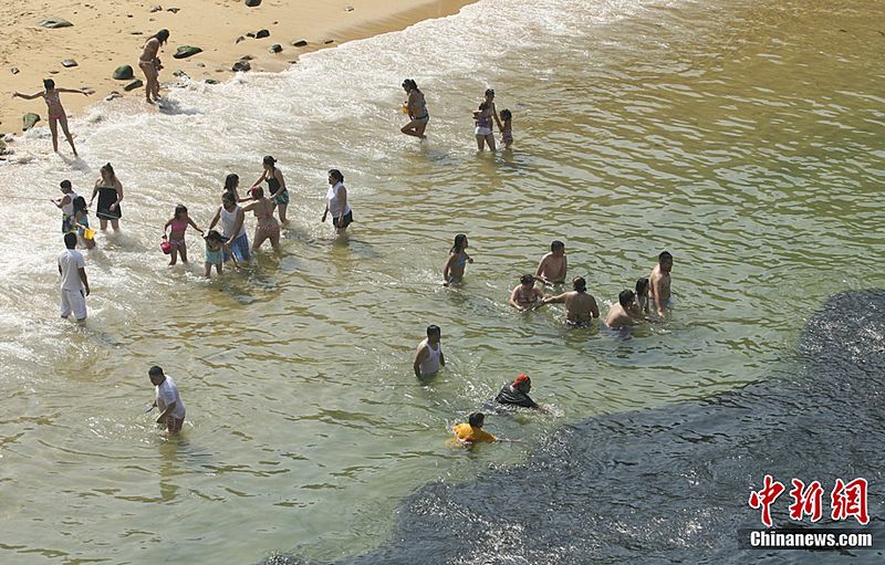 Im flachen Küstengewässer Mexikos hält sich seit vergangenen Freitag ein riesiger Fischschwarm auf. Touristen und einheimische Fischer nehmen an, dass der Tsunami, der von dem Erdbeben der Stärke 9,0 am 11. März im Gewässer nahe Japan verursachte, die normale Meeresströmung gestört und dadurch das Verhalten der Fische beeinflusst habe.